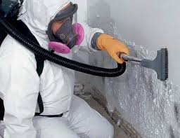 Why You Should Choose Our Mold Remediation Services in Palo, IA